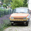 Der Wartburg in Freiheit